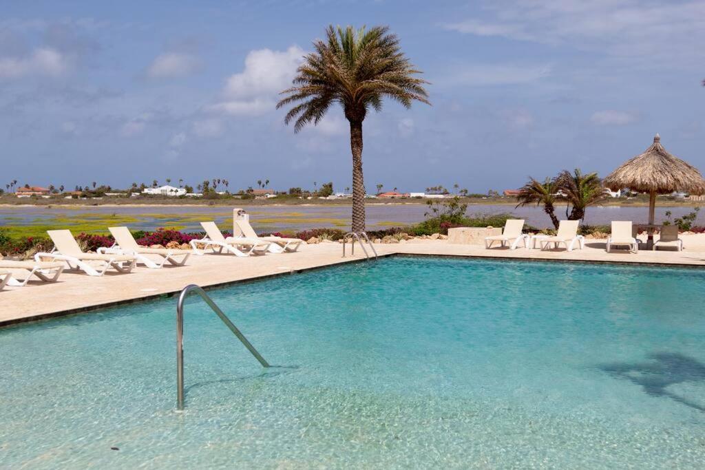 New! Cozy 1 Bedroom Condo- Gold Coast, Noord Aruba パームビーチ エクステリア 写真