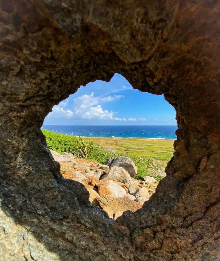 New! Cozy 1 Bedroom Condo- Gold Coast, Noord Aruba パームビーチ エクステリア 写真