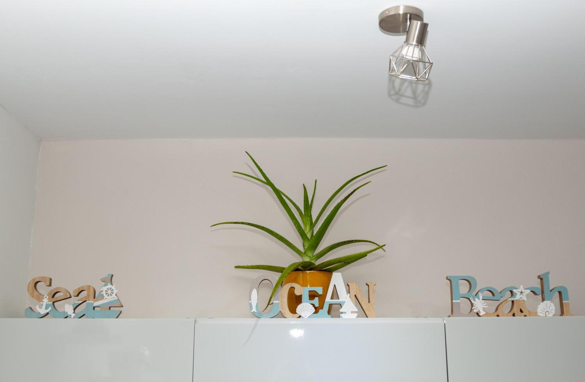 New! Cozy 1 Bedroom Condo- Gold Coast, Noord Aruba パームビーチ エクステリア 写真